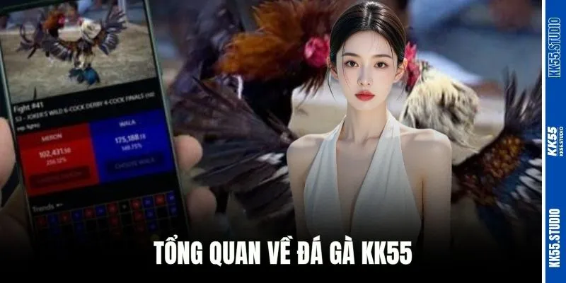 Tổng quan về đá gà KK55